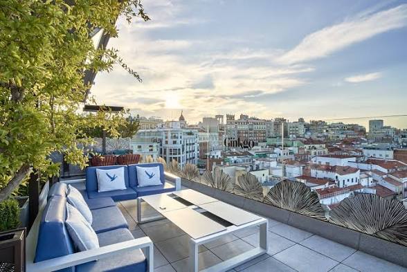Ginkgo Sky Bar