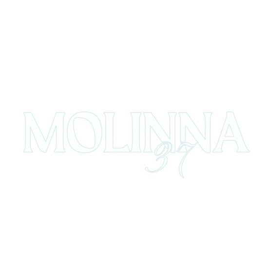 Molinna 37 Madrid - Logo