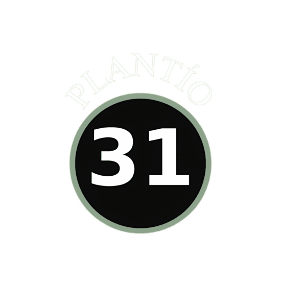 Plantío 31 - Logo