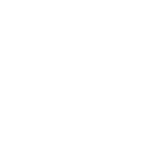 Tokyo Disco Vigo - Logo